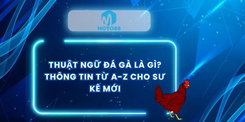 thuat-ngu-da-ga