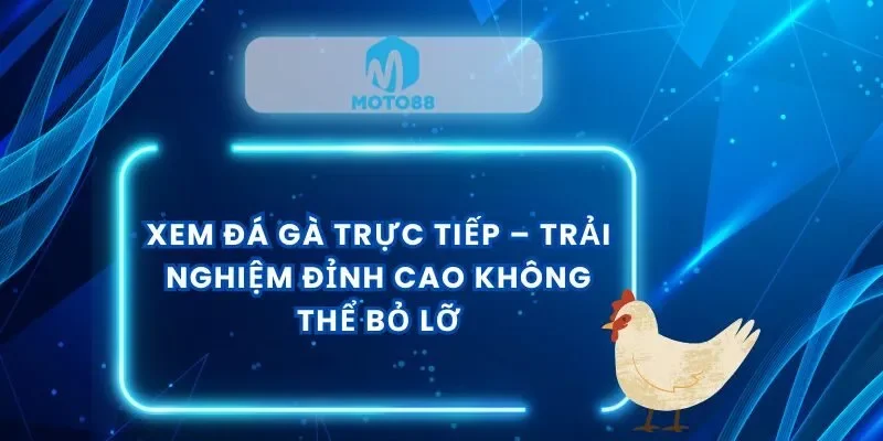 xem-da-ga-truc-tiep